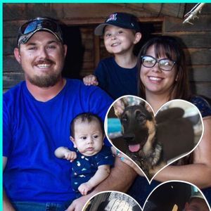 Meet your Posher, Katt